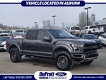 2019 F-150 Thumbnail 1