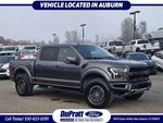 2019 F-150 Thumbnail 1