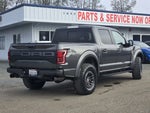 2019 F-150 Thumbnail 4