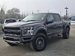 2019 F-150 Thumbnail 8
