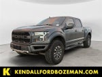 2020 F-150 Thumbnail 1