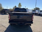 2022 F-150 Thumbnail 4