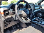 2023 F-150 Thumbnail 12