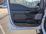 2024 F-150 Thumbnail 11