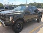 2024 F-150 Thumbnail 4