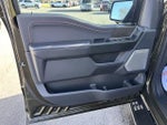 2024 F-150 Thumbnail 10