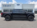 2025 F-150 Thumbnail 1