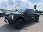 2025 F-150 Thumbnail 4