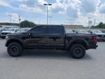 2025 F-150 Thumbnail 5