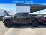 2025 F-150 Thumbnail 2