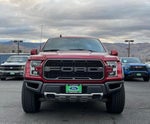 2019 F-150 Thumbnail 5