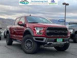 2019 F-150 Thumbnail 1