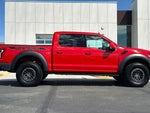 2019 F-150 Thumbnail 2