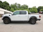2019 F-150 Thumbnail 4