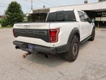 2019 F-150 Thumbnail 7