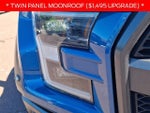 2019 F-150 Thumbnail 8
