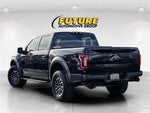 2019 F-150 Thumbnail 8