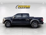 2019 F-150 Thumbnail 10