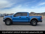 2019 F-150 Thumbnail 3