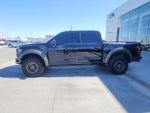 2019 F-150 Thumbnail 8