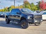 2019 F-150 Thumbnail 1