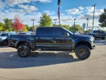 2019 F-150 Thumbnail 8