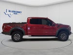 2020 F-150 Thumbnail 4