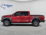 2020 F-150 Thumbnail 7