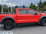 2023 F-150 Thumbnail 4