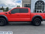 2023 F-150 Thumbnail 8