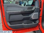 2023 F-150 Thumbnail 9