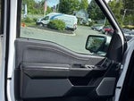 2023 F-150 Thumbnail 15
