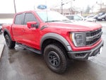 2023 F-150 Thumbnail 10