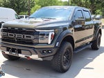 2025 F-150 Thumbnail 8