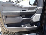 2025 F-150 Thumbnail 12