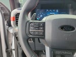 2025 F-150 Thumbnail 13