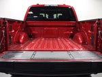2025 F-150 Thumbnail 13