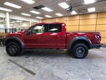 2019 F-150 Thumbnail 4