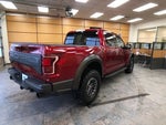 2019 F-150 Thumbnail 7