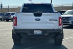 2019 F-150 Thumbnail 6