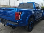 2019 F-150 Thumbnail 5