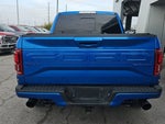 2019 F-150 Thumbnail 4