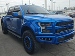 2019 F-150 Thumbnail 6