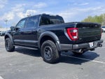 2021 F-150 Thumbnail 13