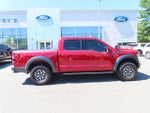 2023 F-150 Thumbnail 4