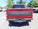2023 F-150 Thumbnail 6