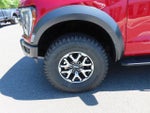 2023 F-150 Thumbnail 18