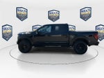 2024 F-150 Thumbnail 8