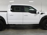 2024 F-150 Thumbnail 10