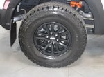 2024 F-150 Thumbnail 13